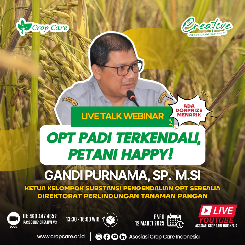 Creative Seri 3